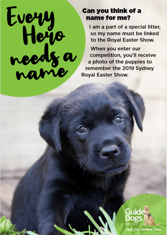 Name our Sydney Royal Easter Show Puppies competition