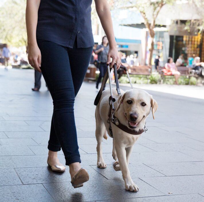 Guide Dog Access Card Guide Dogs NSW/ACT