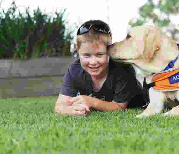 A young child is laying on the grass outside while a yellow labrador dog wearing a Guide Dog in Training jacket licks his face. The young child is smiling at the camera.