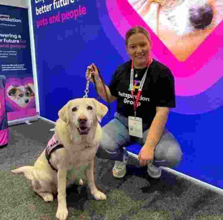 Ambassador Dogs Guide Dogs NSW/ACT